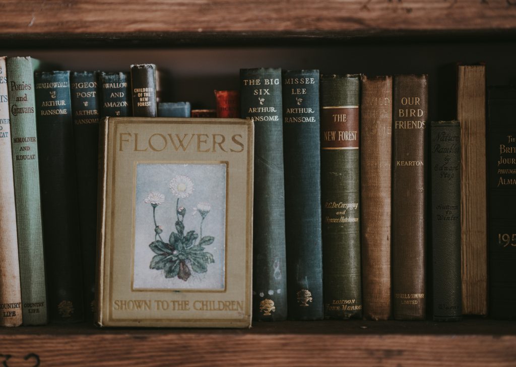 Reading for Relief: 5 Books to Reclaim Calm in a Hectic Life